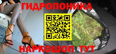 Альфа ПВП Обнинск