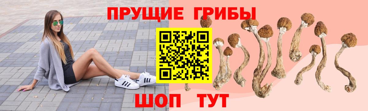 Псилоцибиновые грибы мухоморы  Псилоцибиновые грибы ЛСД  Вход с VPN  Озёрск 